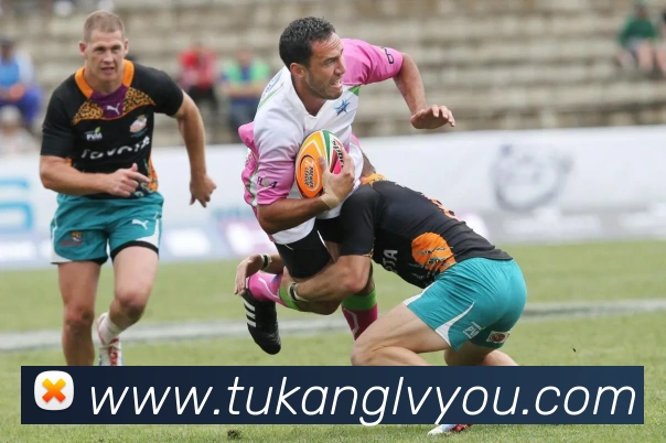 世界杯开户平台平台生态图